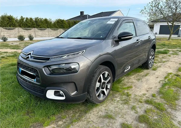 braniewo Citroen C4 Cactus cena 33900 przebieg: 59600, rok produkcji 2019 z Braniewo